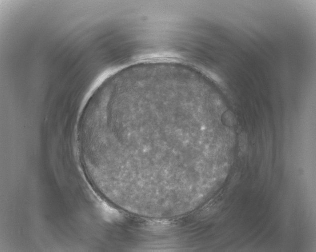 X0000078031470200611251543