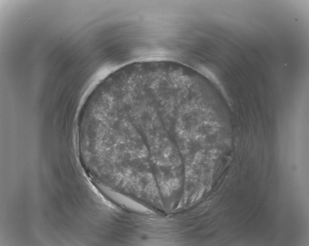 X0000078031472200611251543