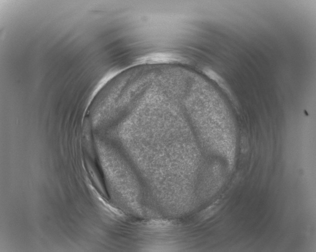 X0000078031473200611251543