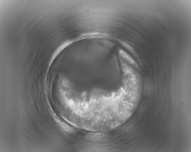 X0000078031474200611251543