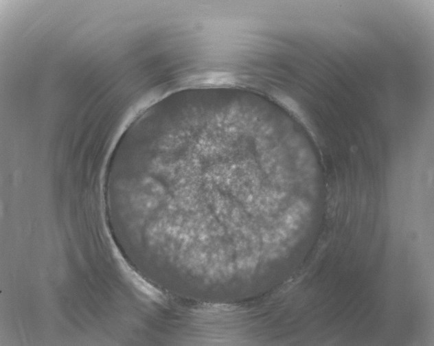 X0000078031475200611251543