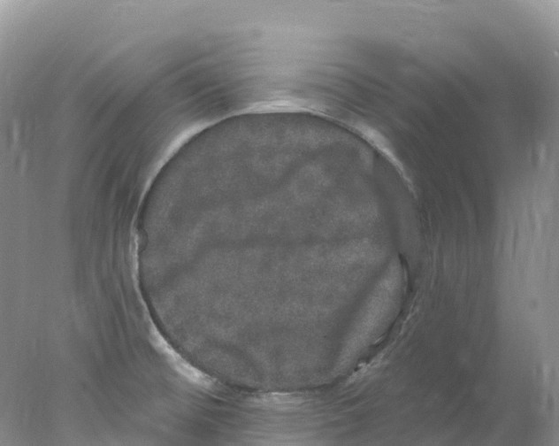 X0000078031476200611251543