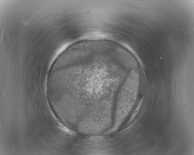 X0000078031477200611251543