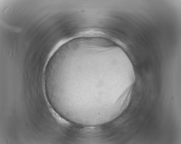 X0000078031478200611251543