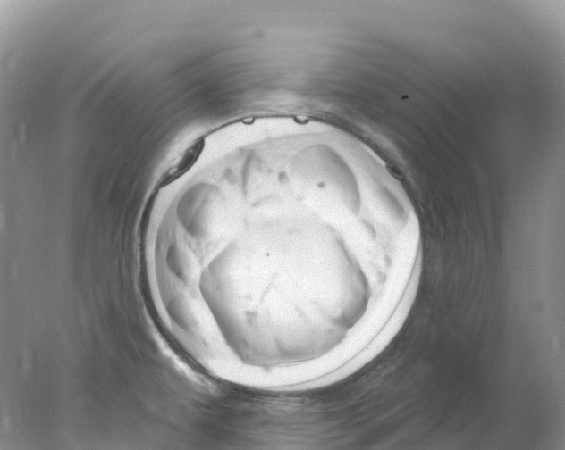 X0000078031479200611251543