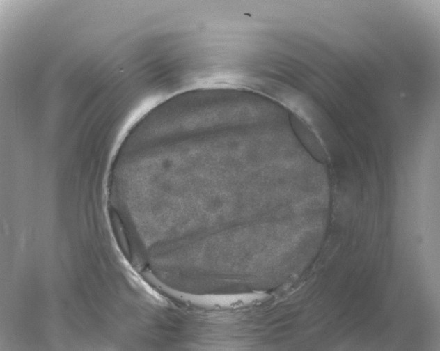 X0000078031480200611251543