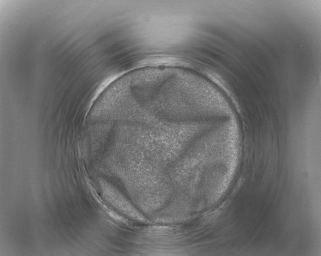 X0000078031481200611251543