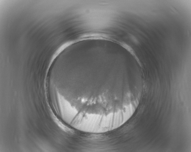 X0000078031482200611251543