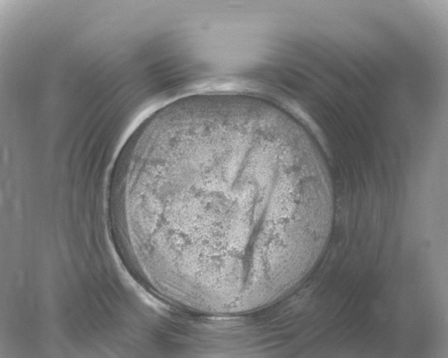 X0000078031483200611251543