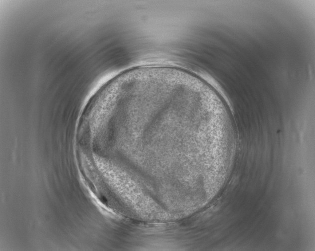 X0000078031485200611251542