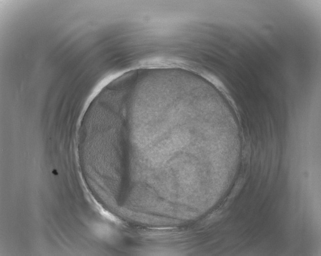 X0000078031486200611251542