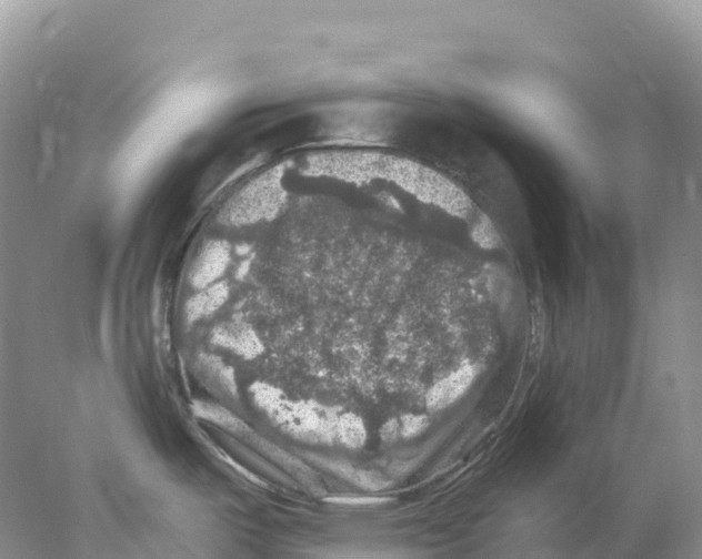 X0000078031487200611251542