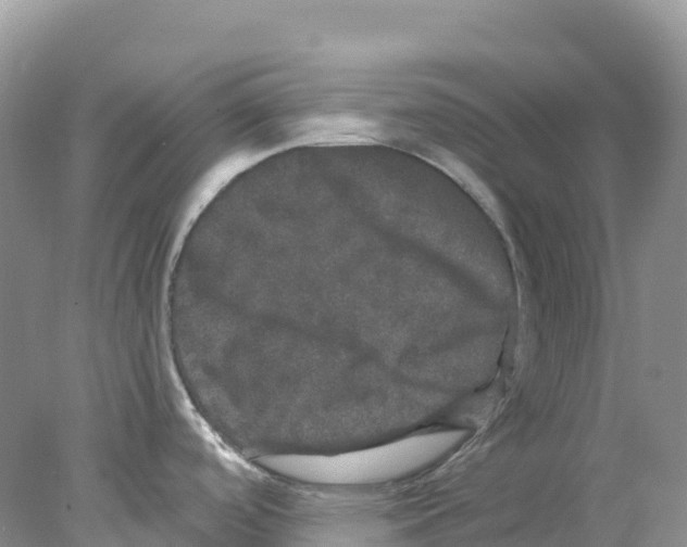 X0000078031488200611251542