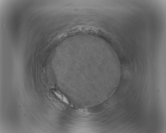 X0000078031489200611251542