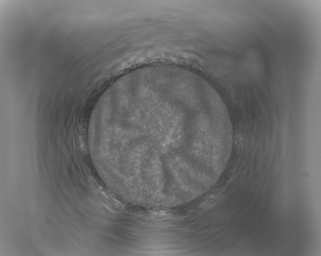 X0000078031490200611251542