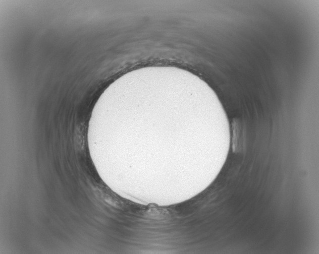 X0000078031491200611251542