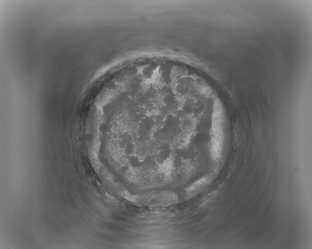 X0000078031494200611251542