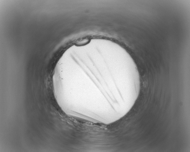 X0000078031495200611251542