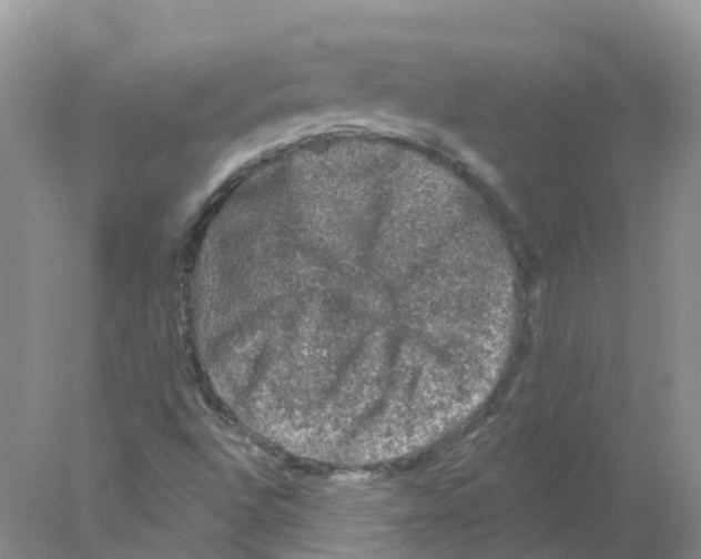 X0000078031496200611251542