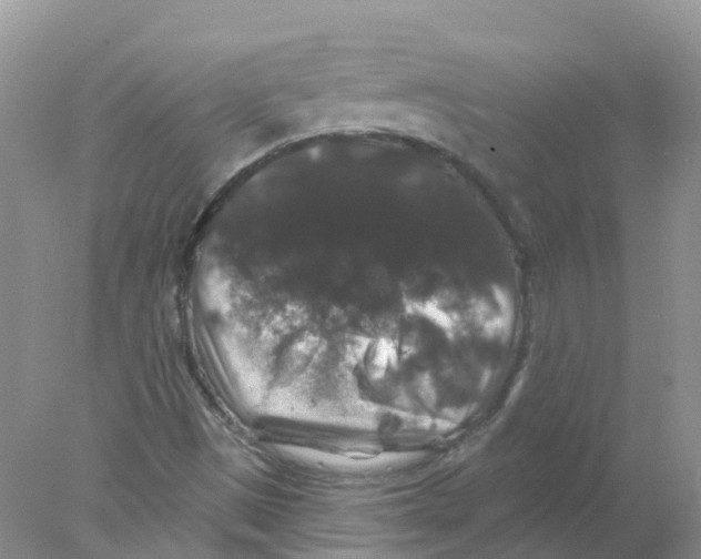 X0000078031497200611251542