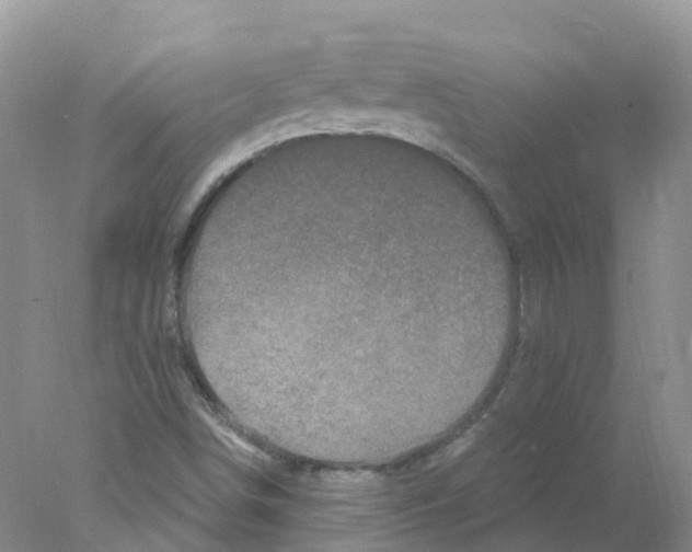 X0000078031498200611251542