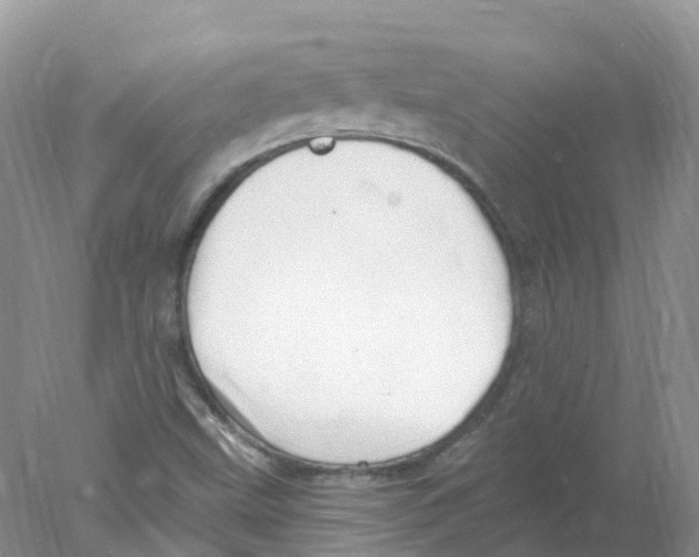 X0000078031499200611251542