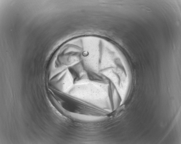 X0000078031500200611251542