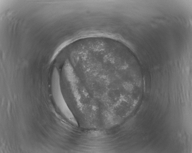 X0000078031501200611251542