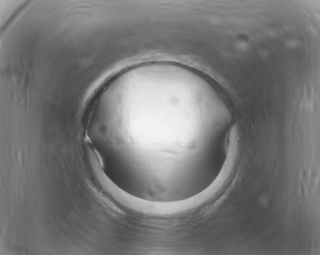 X0000078031502200611251542