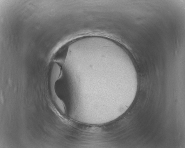 X0000078031503200611251542