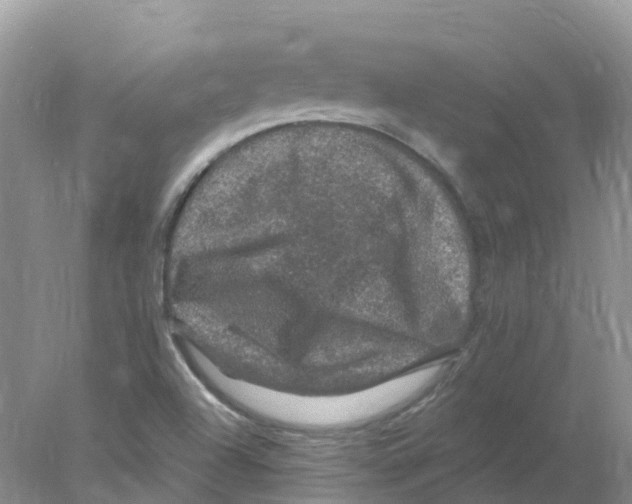 X0000078031504200611251542