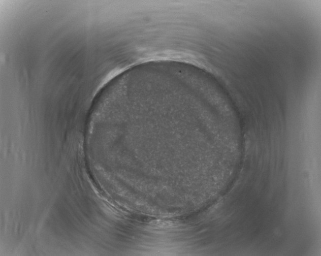 X0000078031505200611251542