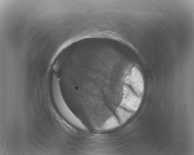 X0000078031506200611251542