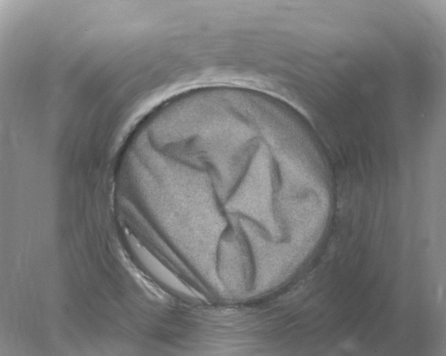 X0000078031507200611251542