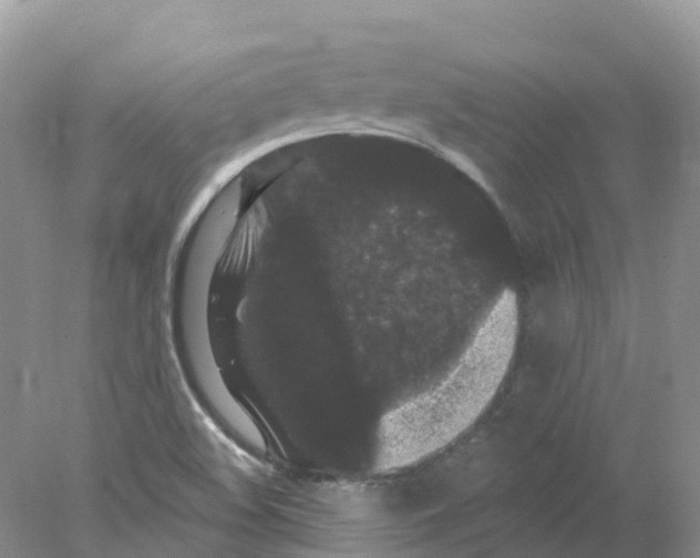 X0000078031508200611251542