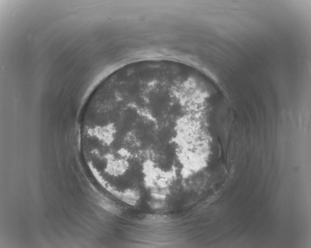 X0000078031509200611251542