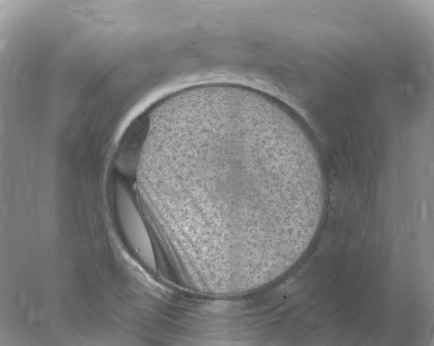 X0000078031510200611251542