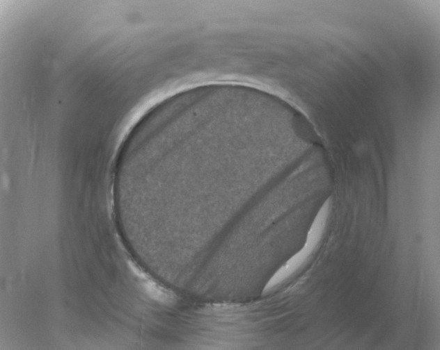 X0000078031511200611251542