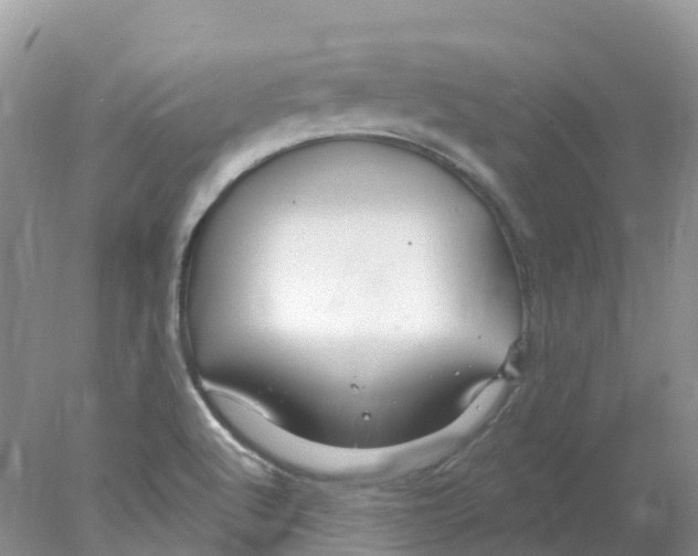 X0000078031512200611251542