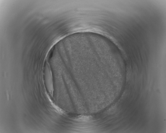 X0000078031513200611251542