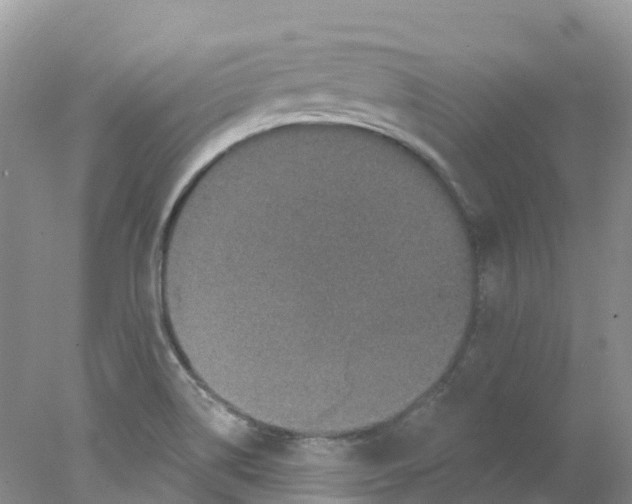 X0000078031514200611251542