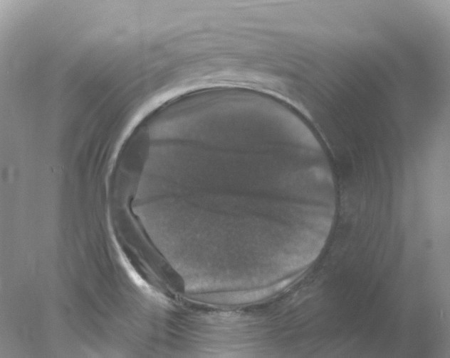 X0000078031515200611251542