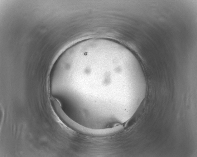 X0000078031516200611251542