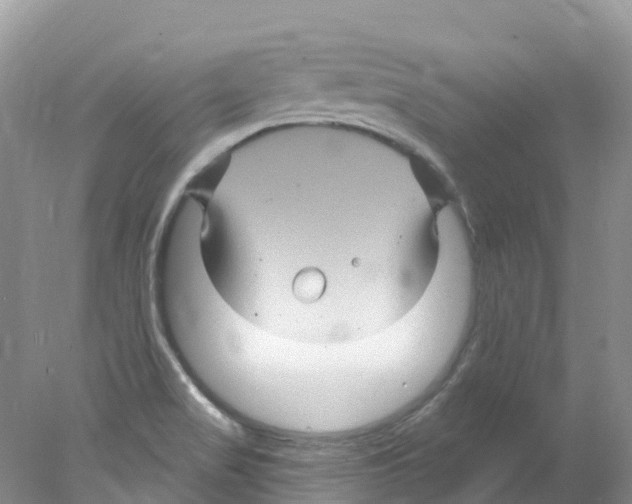 X0000078031517200611251542