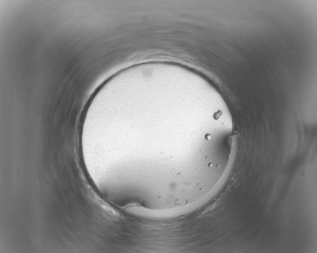 X0000078031518200611251542