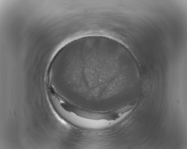 X0000078031519200611251542