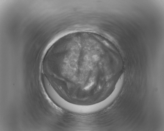 X0000078031520200611251542