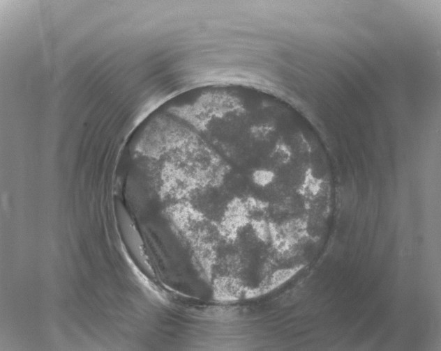 X0000078031521200611251542