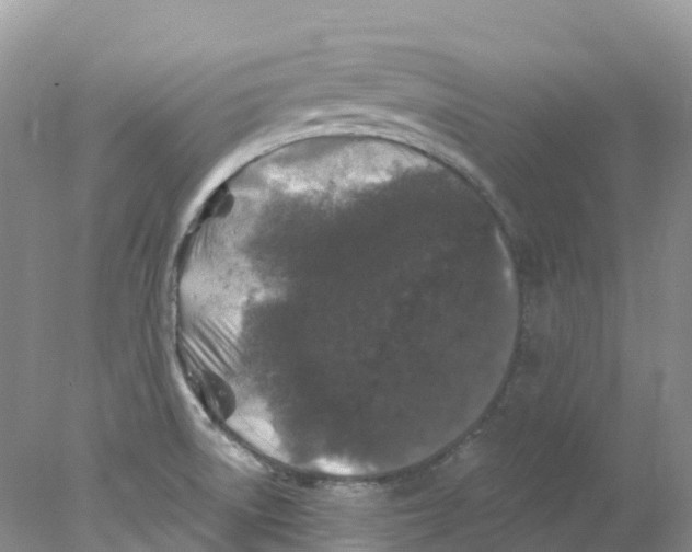 X0000078031522200611251542