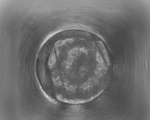 X0000078031523200611251542